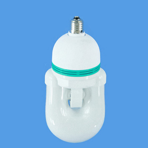 Compact Induction Lamp