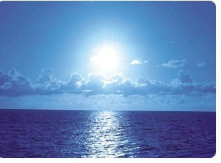 Environmental Protection System