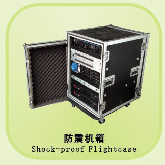 Electronic Equipment Transport Flight Case