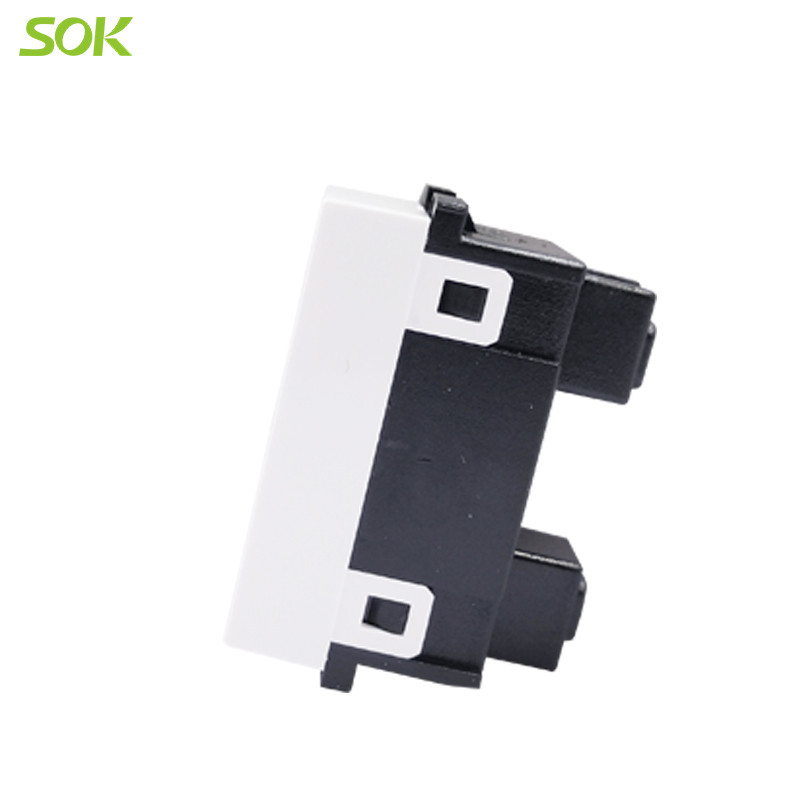 Euro-American Universal Power Outlet Module