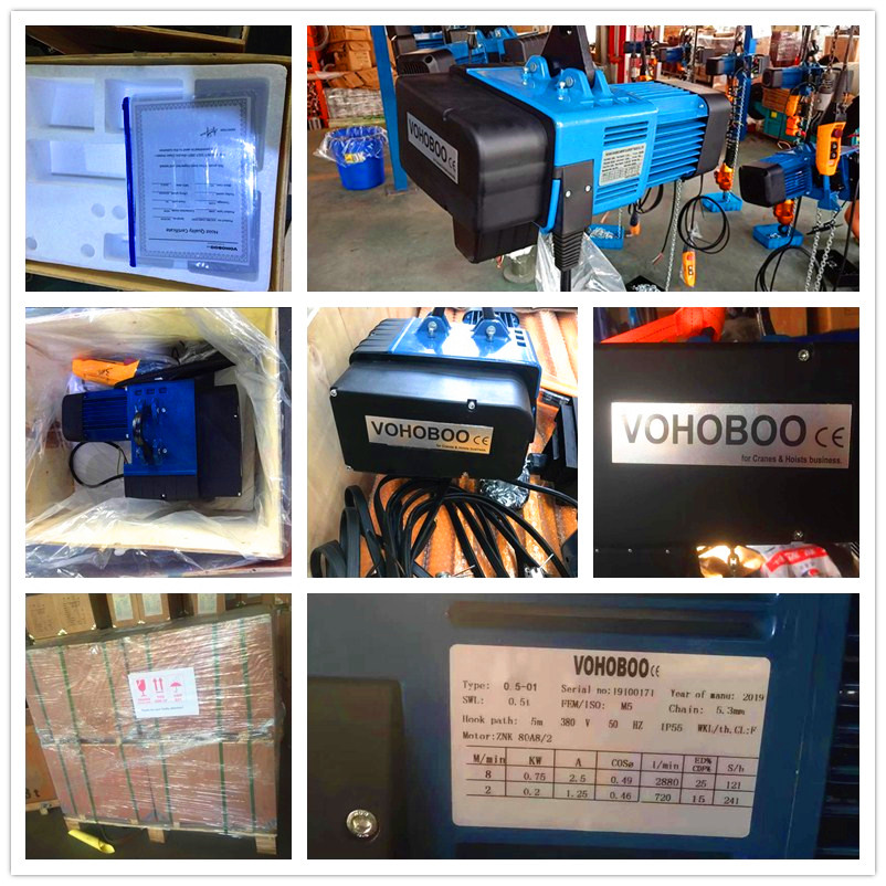 Technical specification label of the electric chain hoist