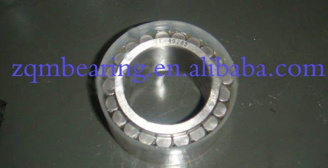 Double Row Cylindrical Roller Bearing