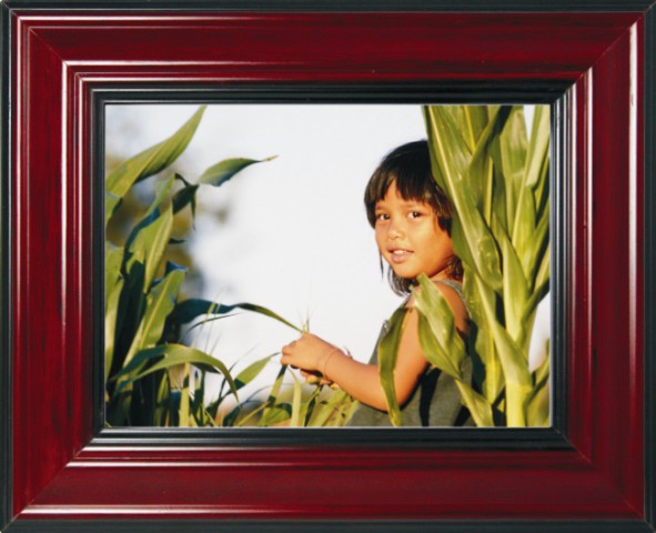 Layered Dark Wood Picture Frame