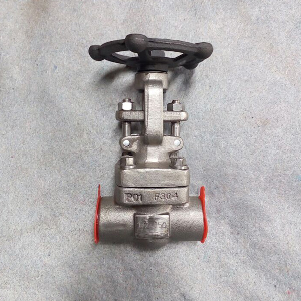 F304 Stainless Steel Forged Gate Valve