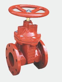 F909 - Image 2