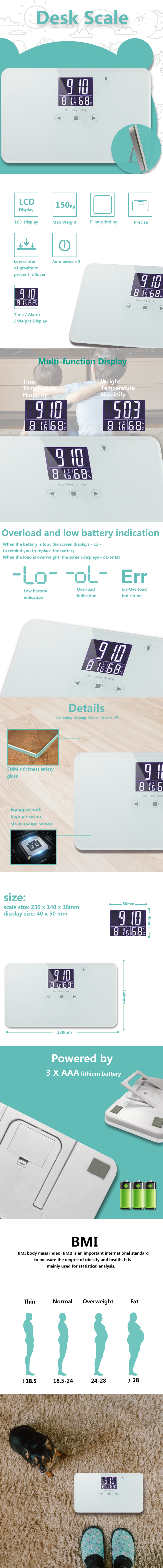 Detailed view of the digital scale showing display and specifications