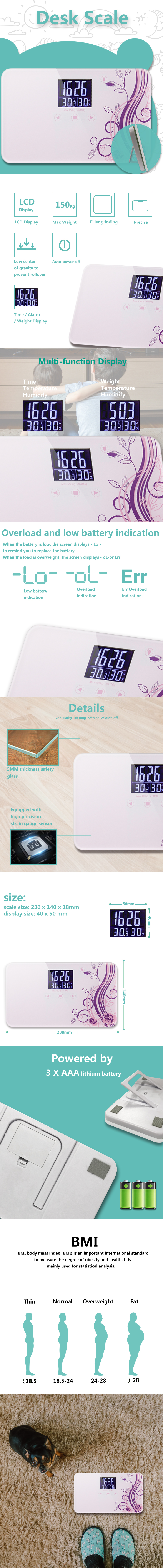Detailed view of the digital scale showing LCD display functions and specifications