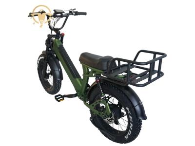 Adult Electric Bicycle with 48V Lithium Battery