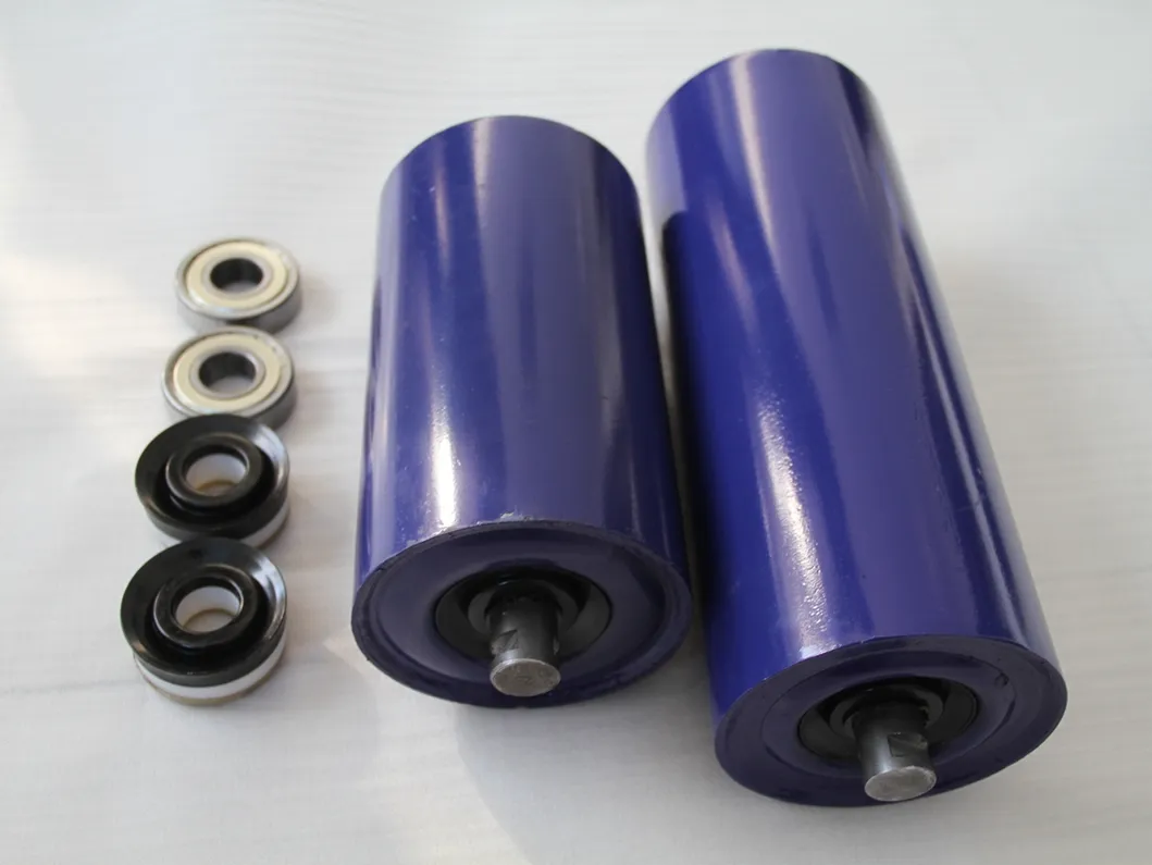 Detailed view of the conveyor roller assembly