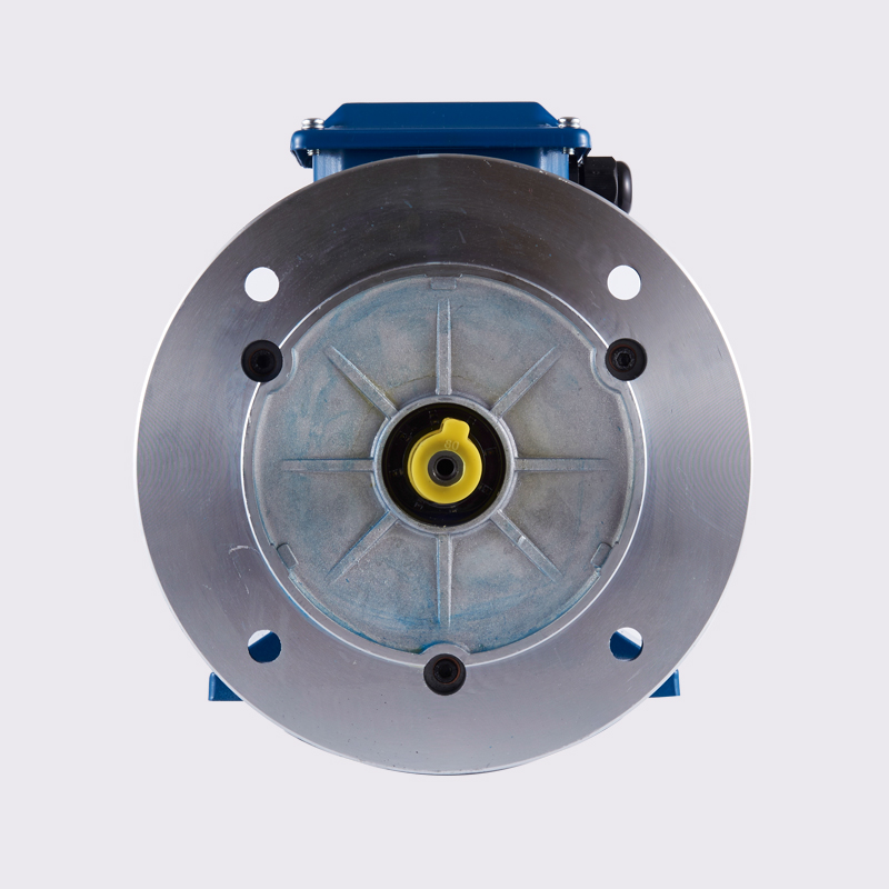 Three-Phase Dual Voltage Electric Motor