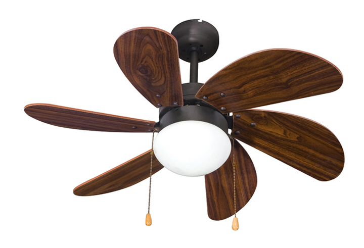 Indoor Ceiling Fan with Light
