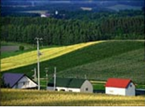 Other Agriculture Products
