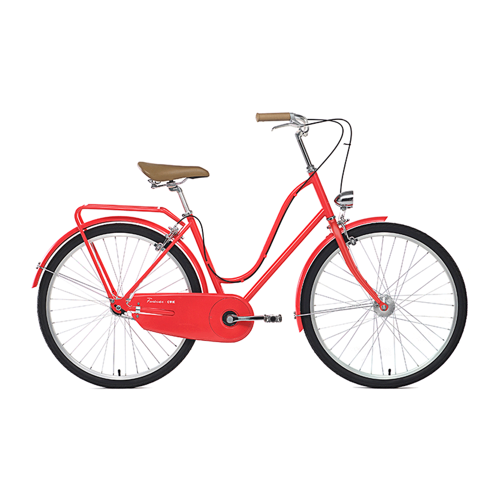 Step-Through Frame City Bicycle