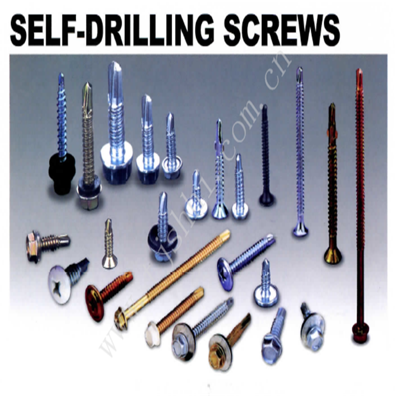 Assorted Fastener Set