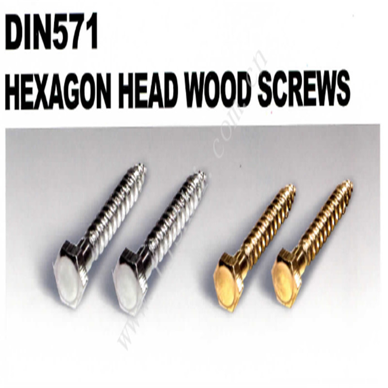 Hexagon head wood screws