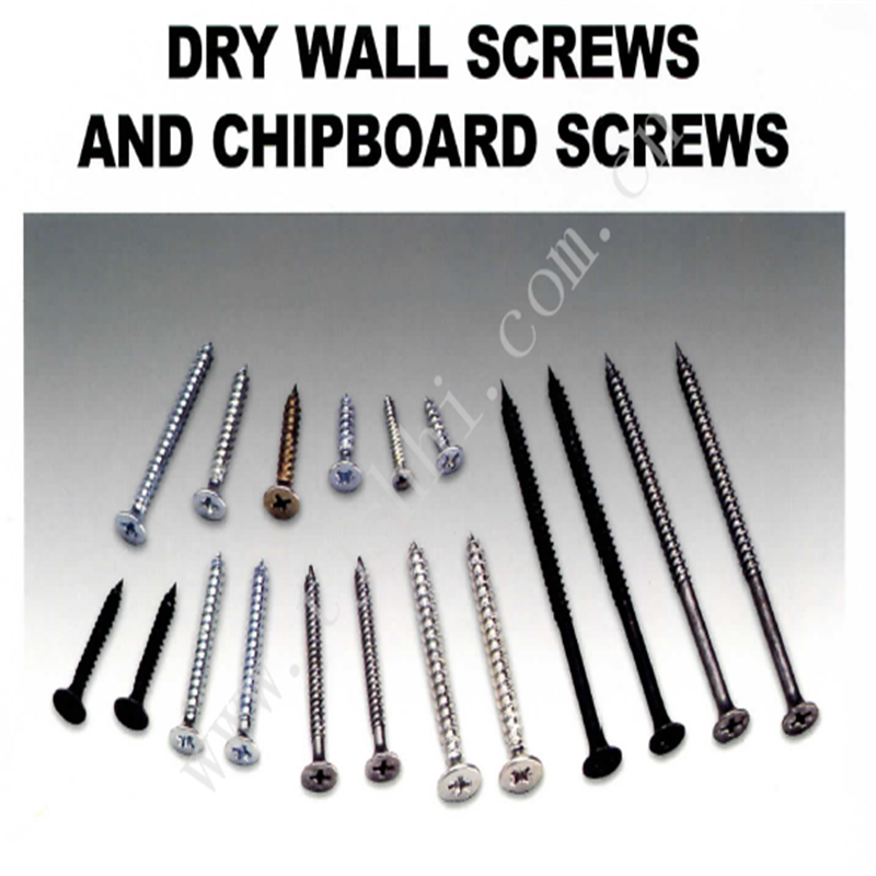Drywall and chipboard screws