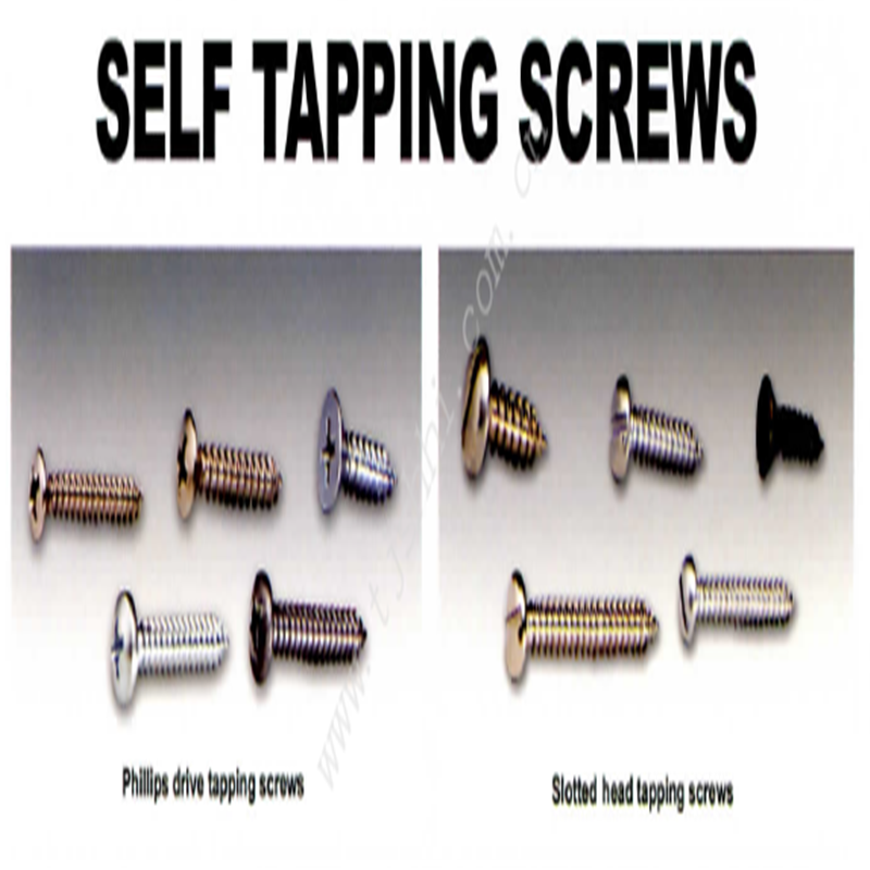 Self-tapping screws assortment