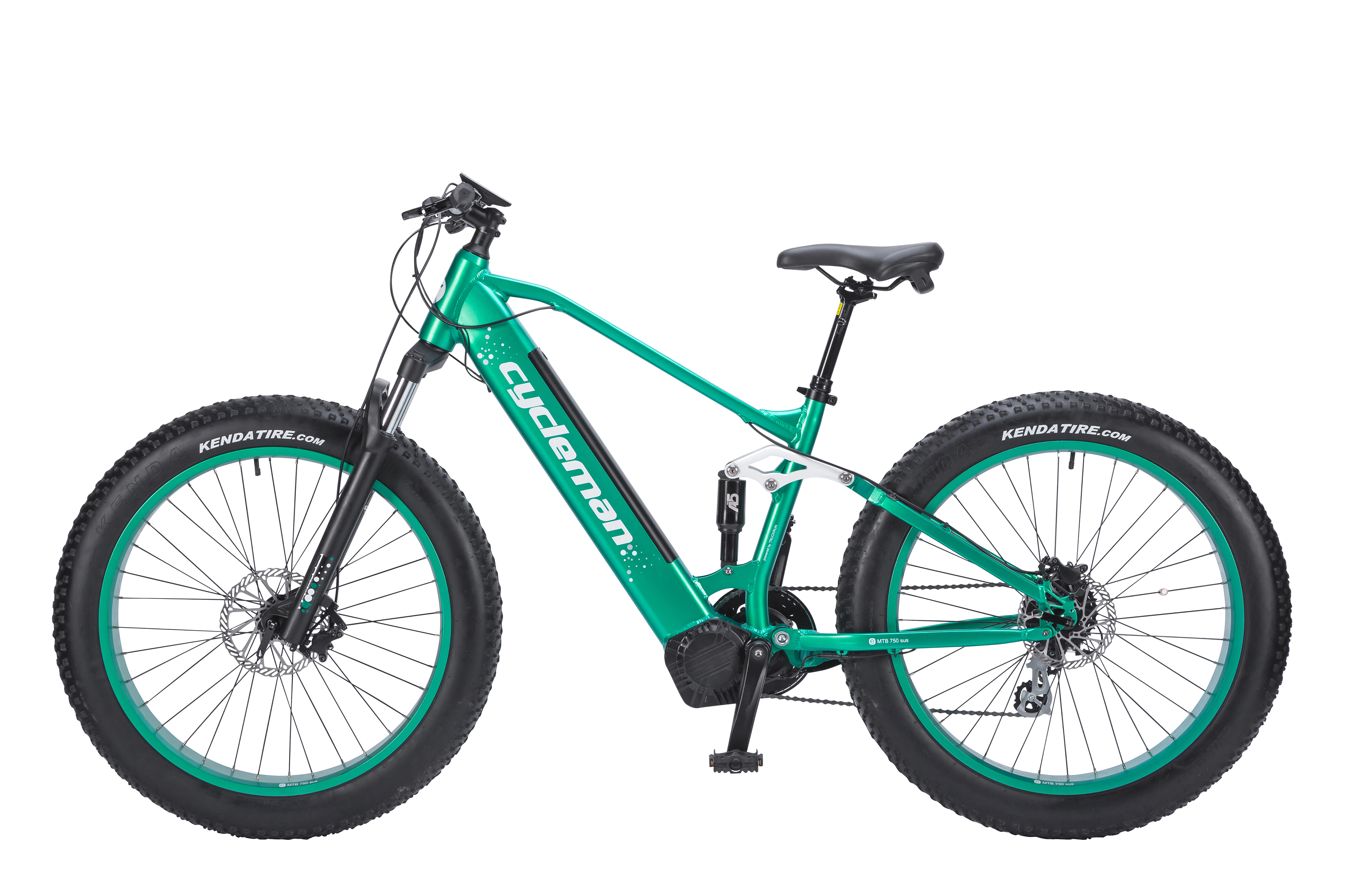 Fat Electric Bike - Image 2