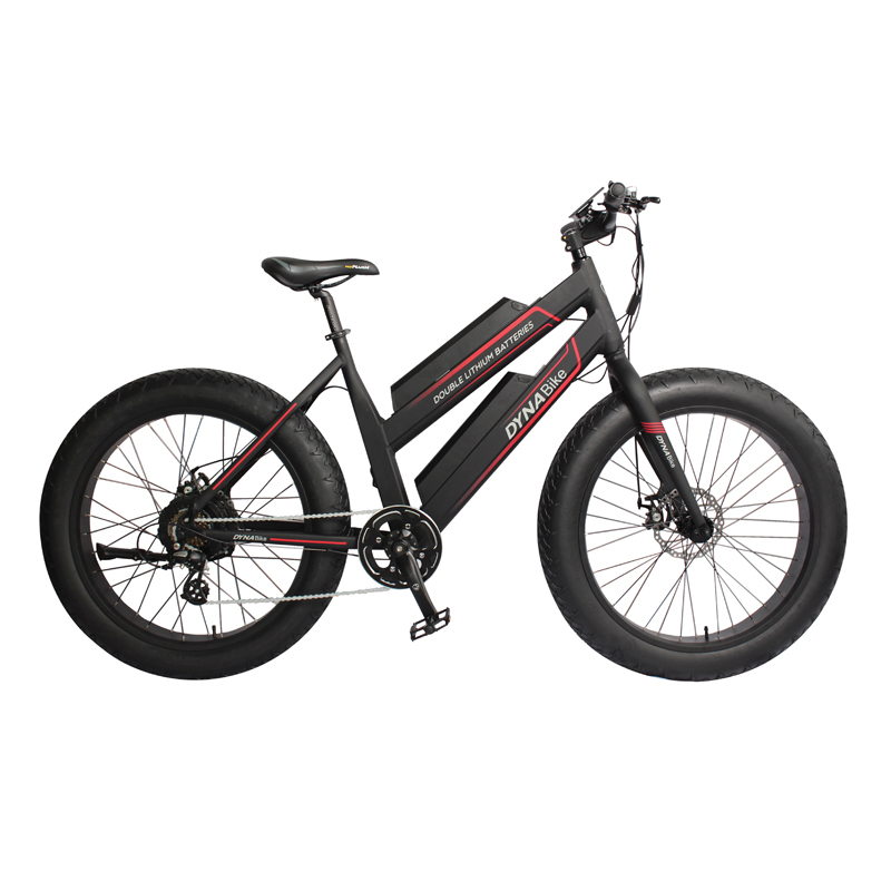 Fat tire ebike - Image 2