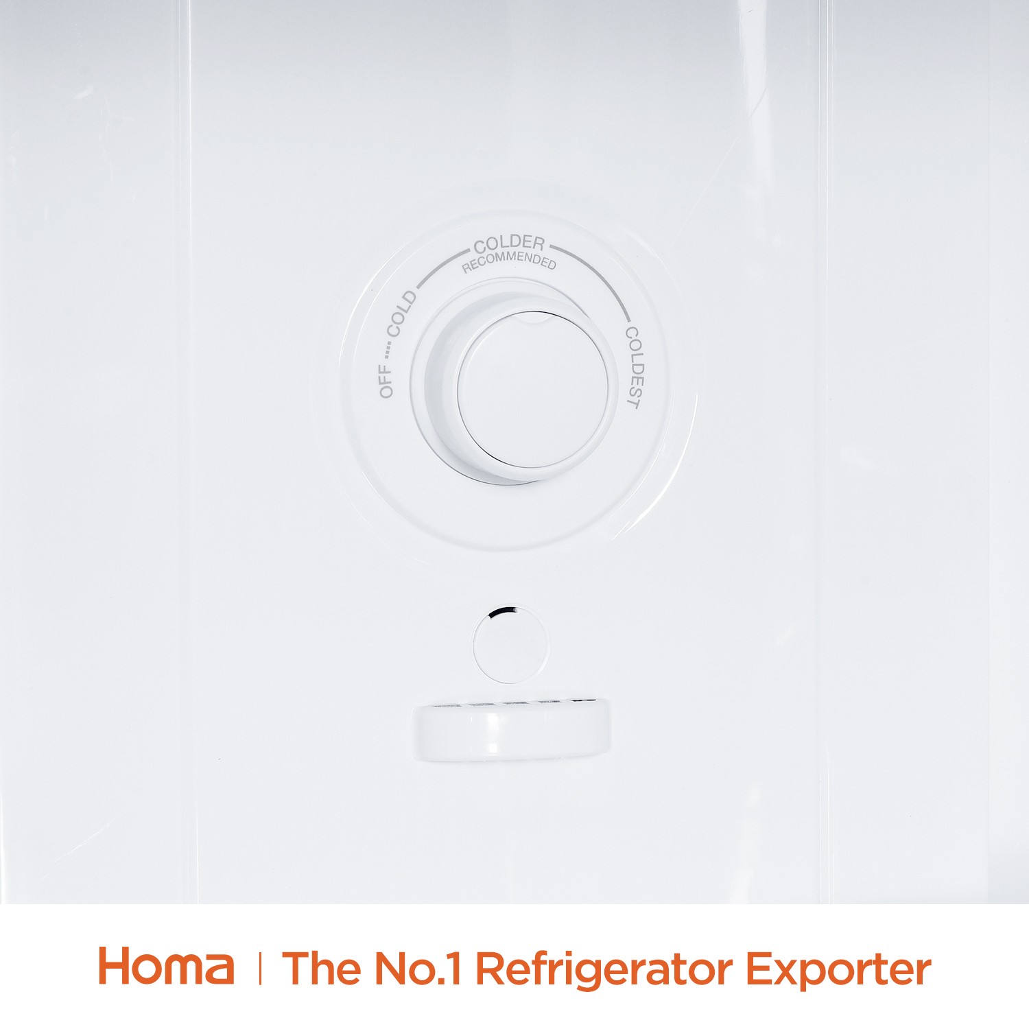 Top Mount No Frost Refrigerator