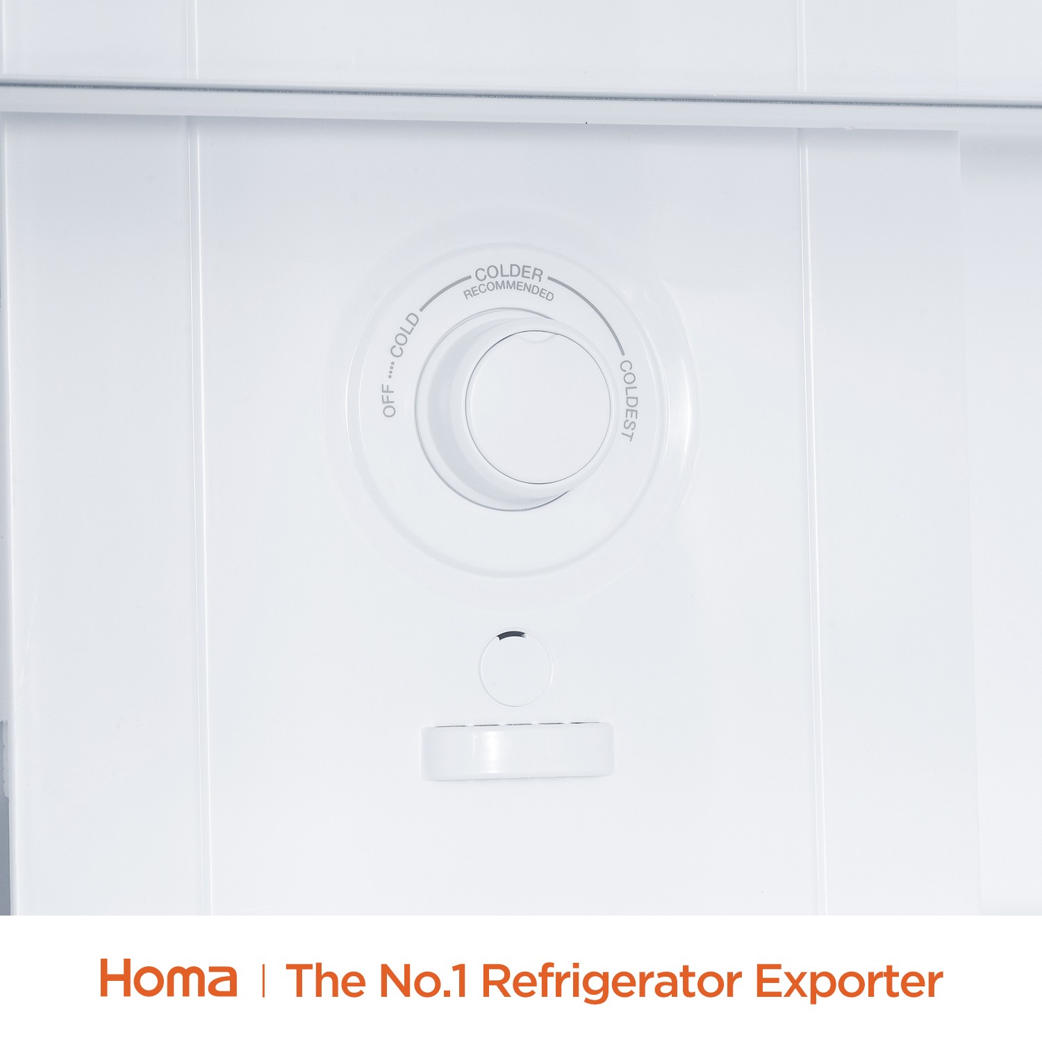 Top Mount No Frost Refrigerator