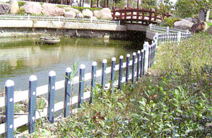 Pond Picket Fence