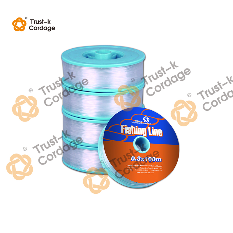 Fishing Line 0.3mm x 100m