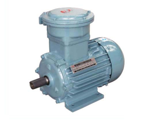 Flameproof Three-Phase Induction Motor for Cooling Towers