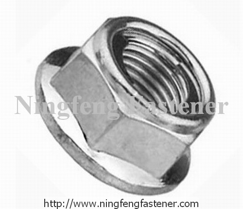 Flanged Hex Nut