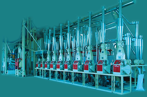 Flour machinery, wheat flour machine(10-500t/24h) - Image 3