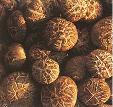 Dried Flower Shiitake Mushrooms