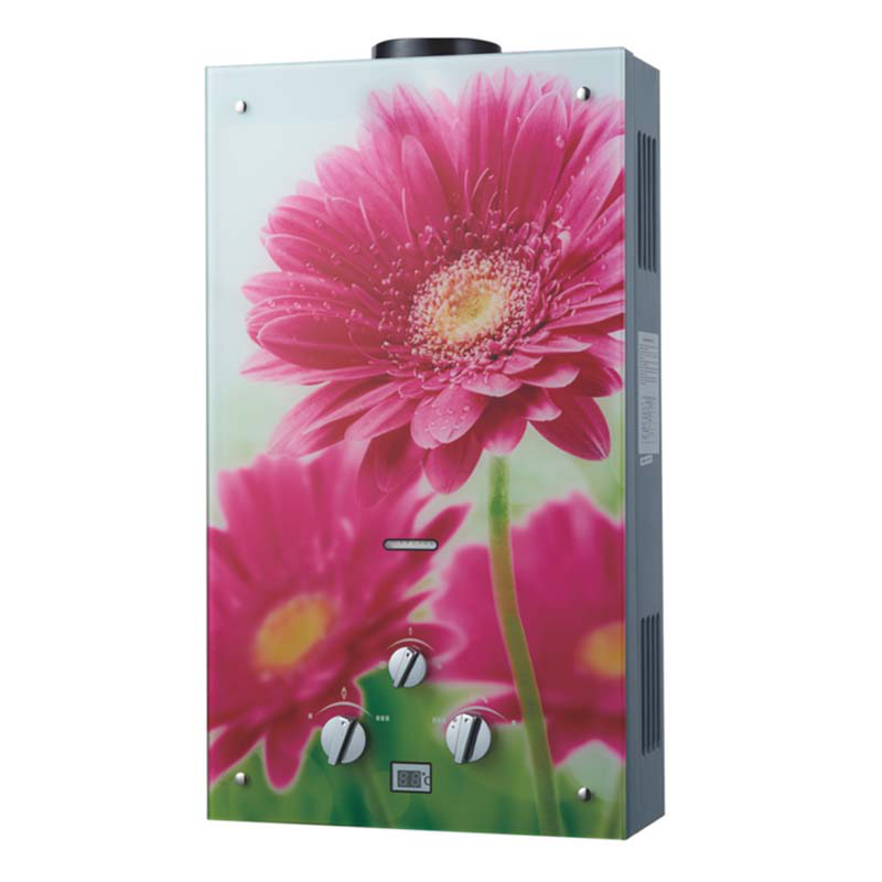 Flue Exhaust Gas Water Heater with Floral Design