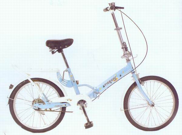 20-Inch Folding Bicycle with Fenders and Rack