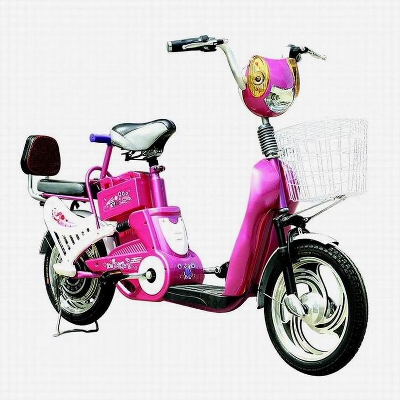 Electric Folding Commuter Bicycle