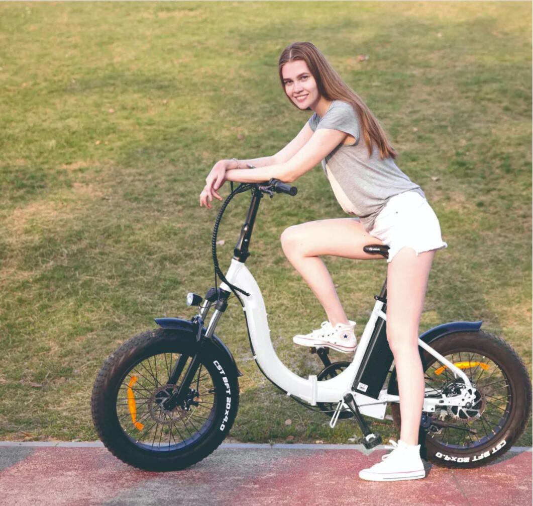 Adult Folding Electric Bicycle with Fat Tires