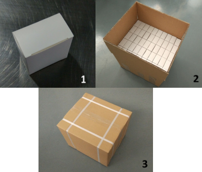 Cardboard packaging process for the sensor