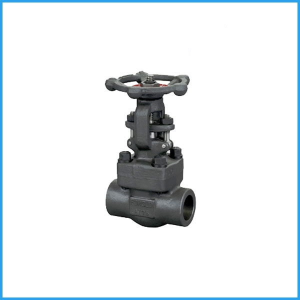 800lb Forged Steel Socket Weld Gate Valve