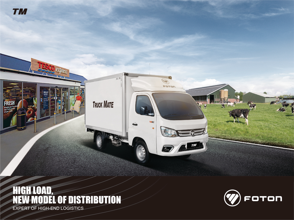 Foton Truck Mate - Image 3