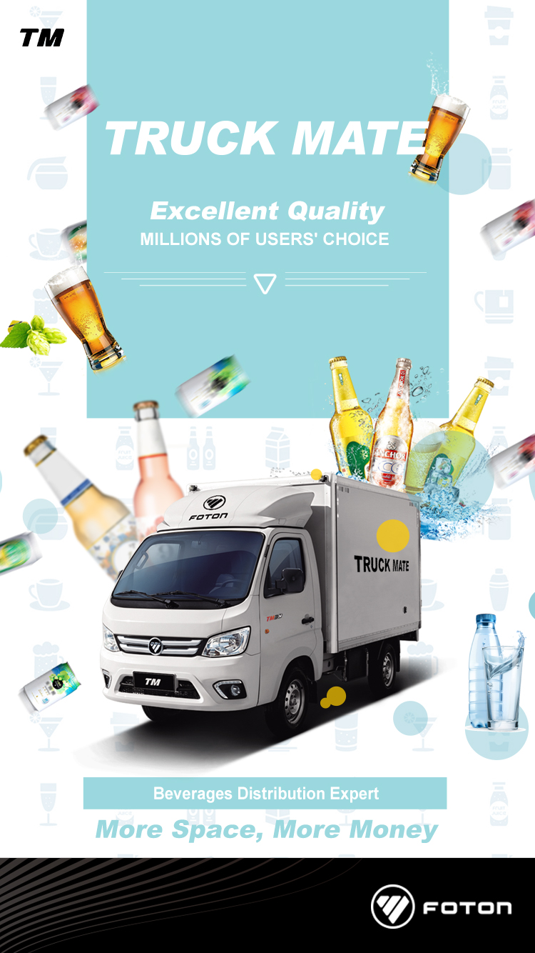 Foton Truck Mate - Image 2