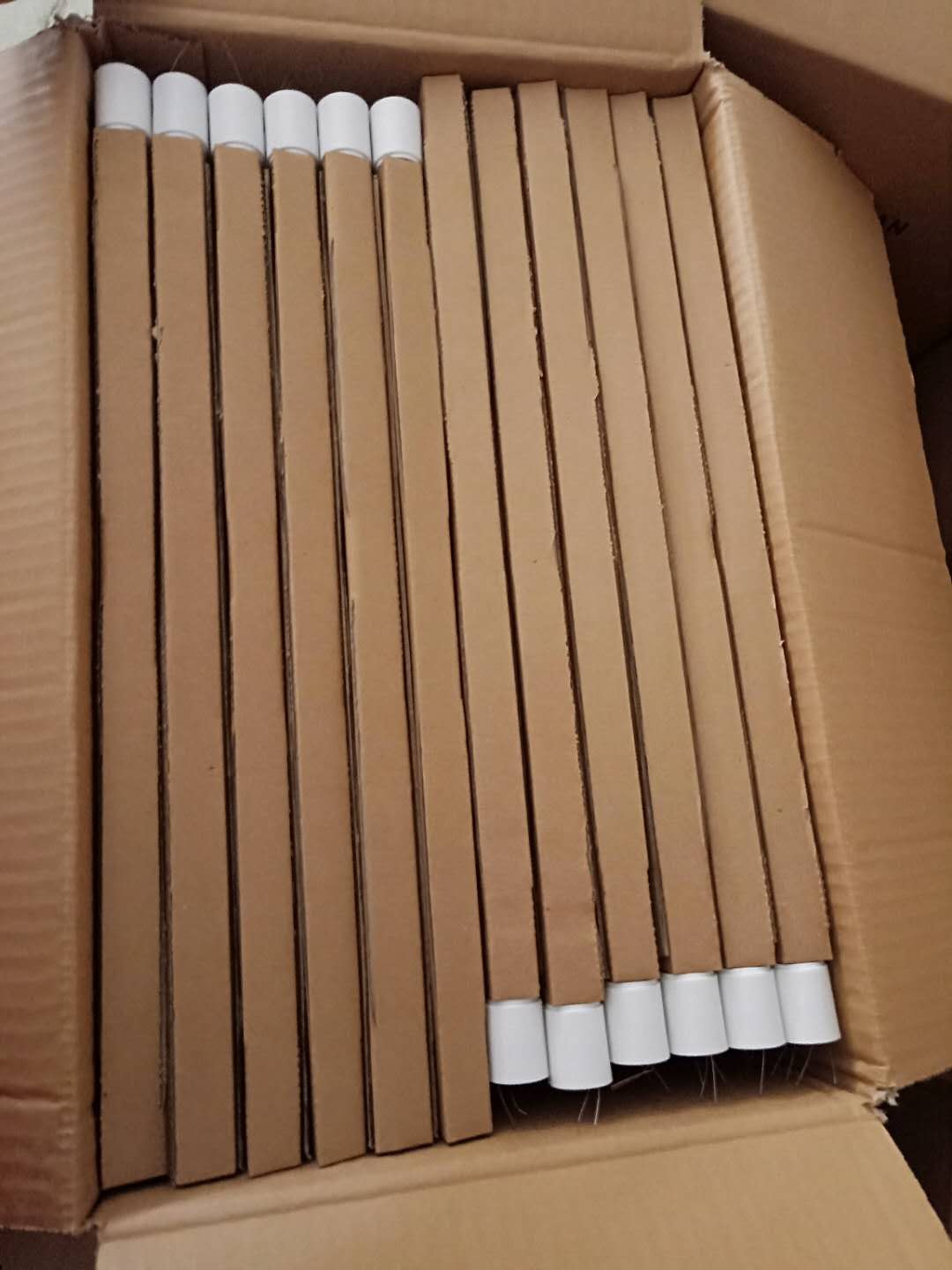 36W FPL Four-Pin Base Fluorescent Tube