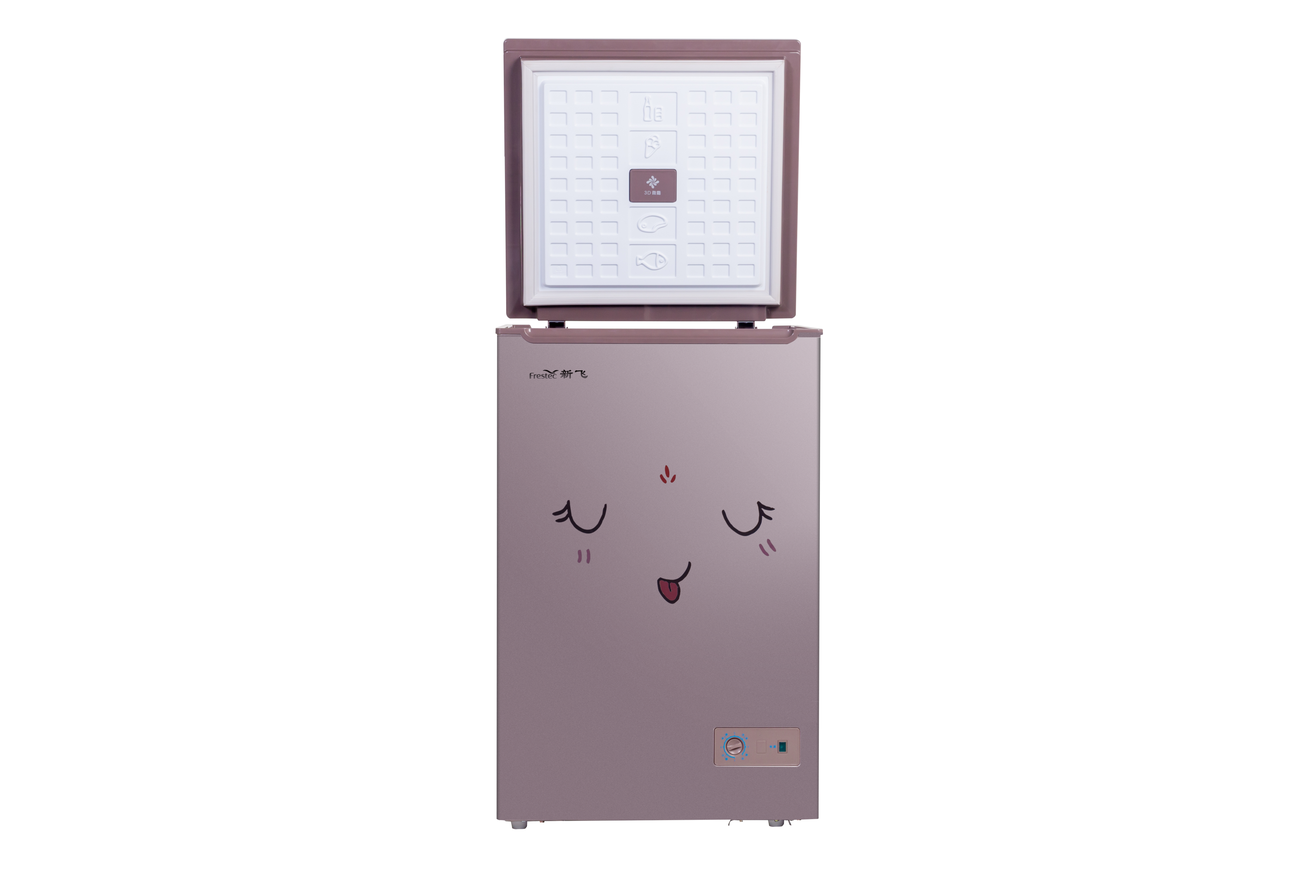 Chest Freezer with Temperature Control