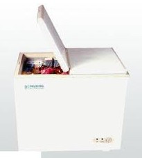 Chest Freezer for Food Storage