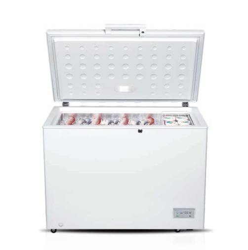 Chest Freezer with Adjustable Temperature Control