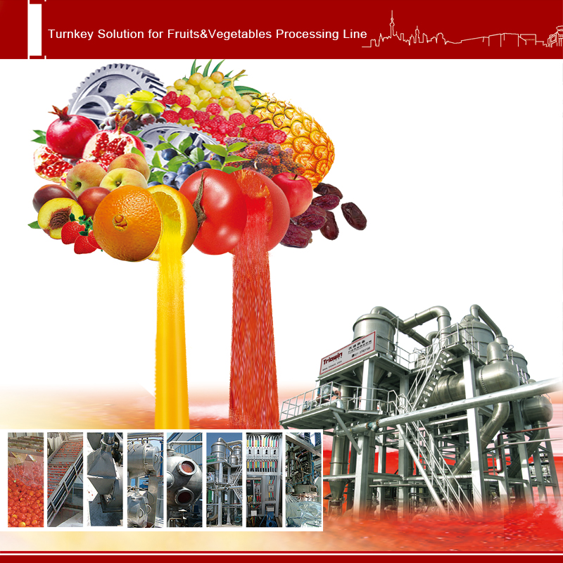 Fruit processing line - Image 2