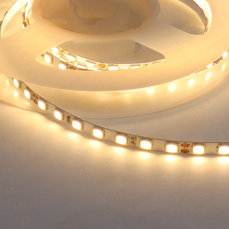 FS64 CCT 2835 LED Strip 12V with 140 LEDs /m Furniture Cabinet Light - Image 2