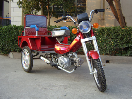 Three-Wheeled Utility Motorcycle with Passenger Seat
