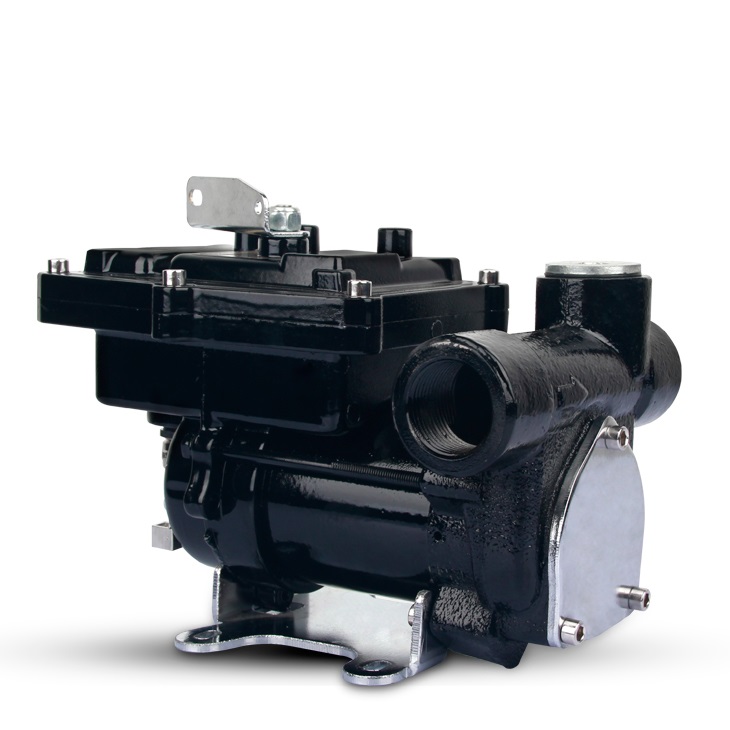 Fuel Transfer Pump - Image 3