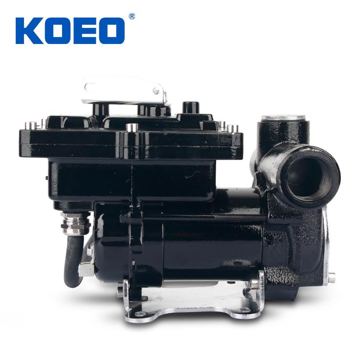 Fuel Transfer Pump - Image 2