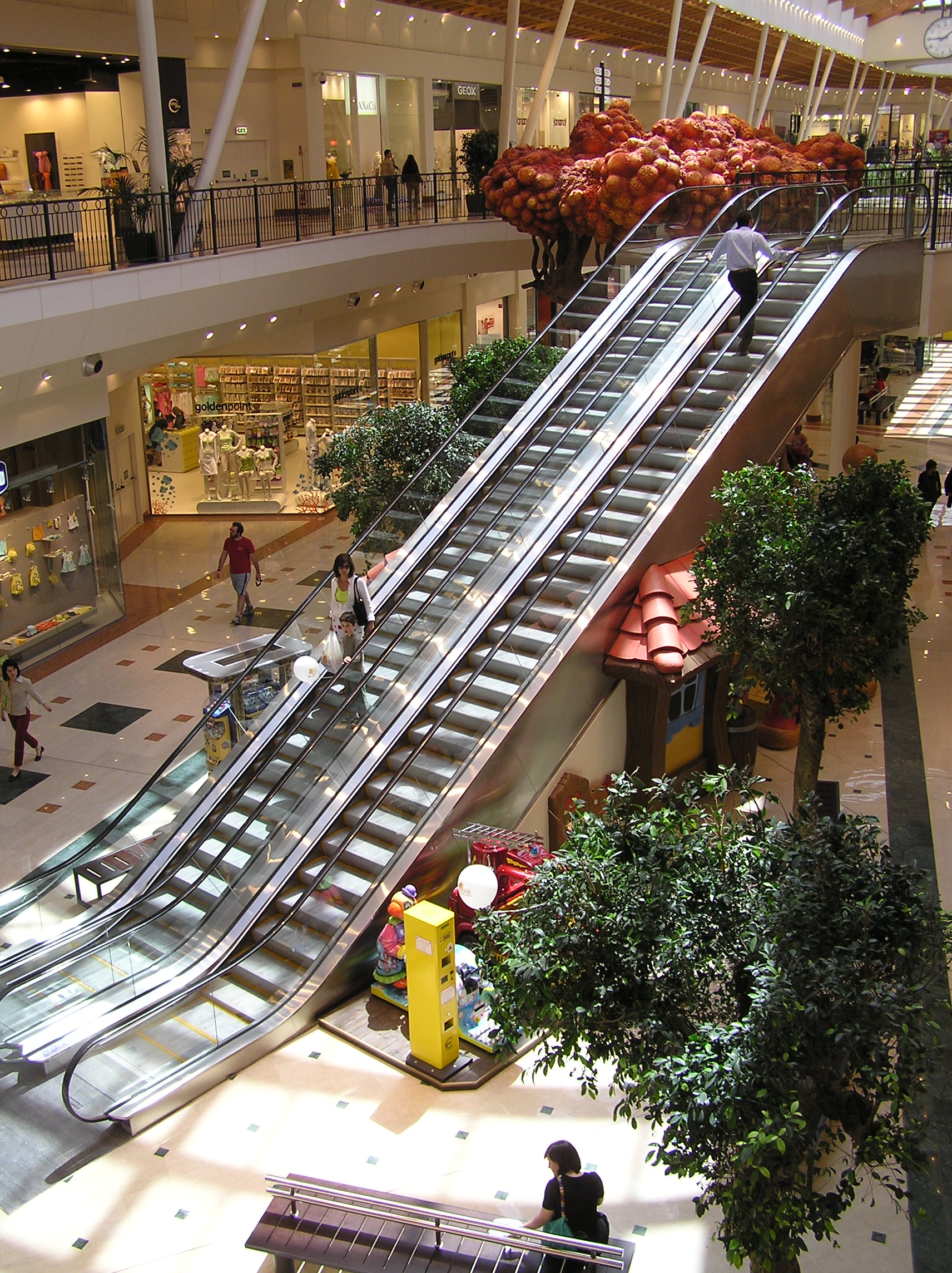 FUJI ESCALTOR 630kg home lift - Image 3