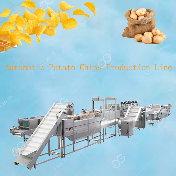 Full view of the automated potato chip production line machinery